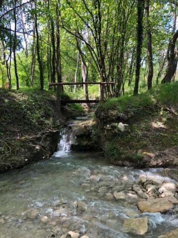 Le Vieux Moulin Holiday home *